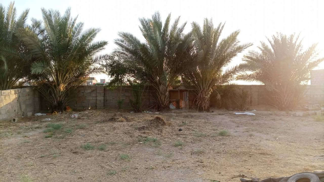 سلام عليكم بيت البيع مساحته دونم 
استقبال وثلاث غرف وصاله ومطبخ خارجي واسط النعمانيه طريق الشوملي قرب شارع المطار  
الاستفسار ***********
