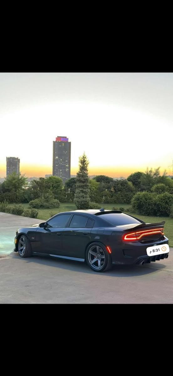 السلام عليكم حبايب بيع او مروس
جارجر 2019  6400✈️✈️✈️

سوبر تراك باك 

السعر 205. وبيه مجال للشراي  

مكاني بغداد شارع فلسطين  

وسونار موجود  

رقم اربيل  

مكينه كلش قوي. وعليه برمجه  مصطفى  ايكل طلقات وفتح فصله ورون ومراوح وشوته وهدرز ودبات ترتيب 

داون بايب  

ويل نجمه تو سايز 
 

لايت مال 2023 

ولدات داعميه 

كت لحايه كامل SRT

داخل  كله كاربون فايبر 

شاشه جبيره كار بلي 

شفتات ستيرن 

كشن كهربائي 

صدر امامي خلفي جديد 

مكاني بغداد شارع فلسطين 

بيع او مراوس 

للستفسار ***********
