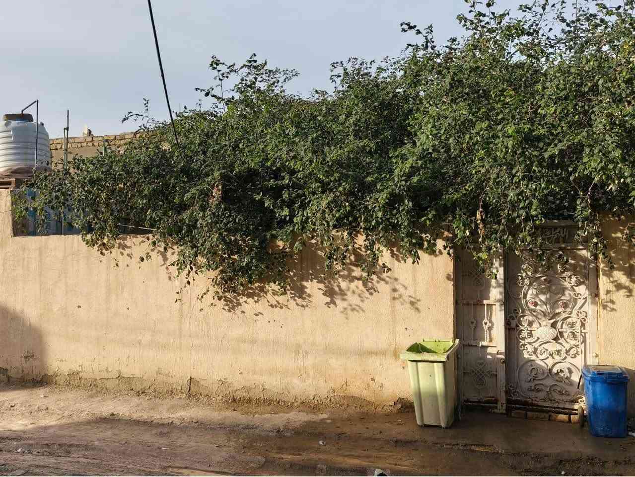 السلام عليكم بيت للبيع زراعي الموقع خنيطله شارع الگراج بيت زراعي شارع تبليط
المساحه 160
يحتوي على غرفتين و صاله و استقبال و مطبخ و حمام داخلي و خارجي و منور مع مخزن 
رقم التواصل ***********
الاتفاق على السعر بالخاص
