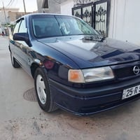 فيكترا • ١٩٩١ • مصبوغ