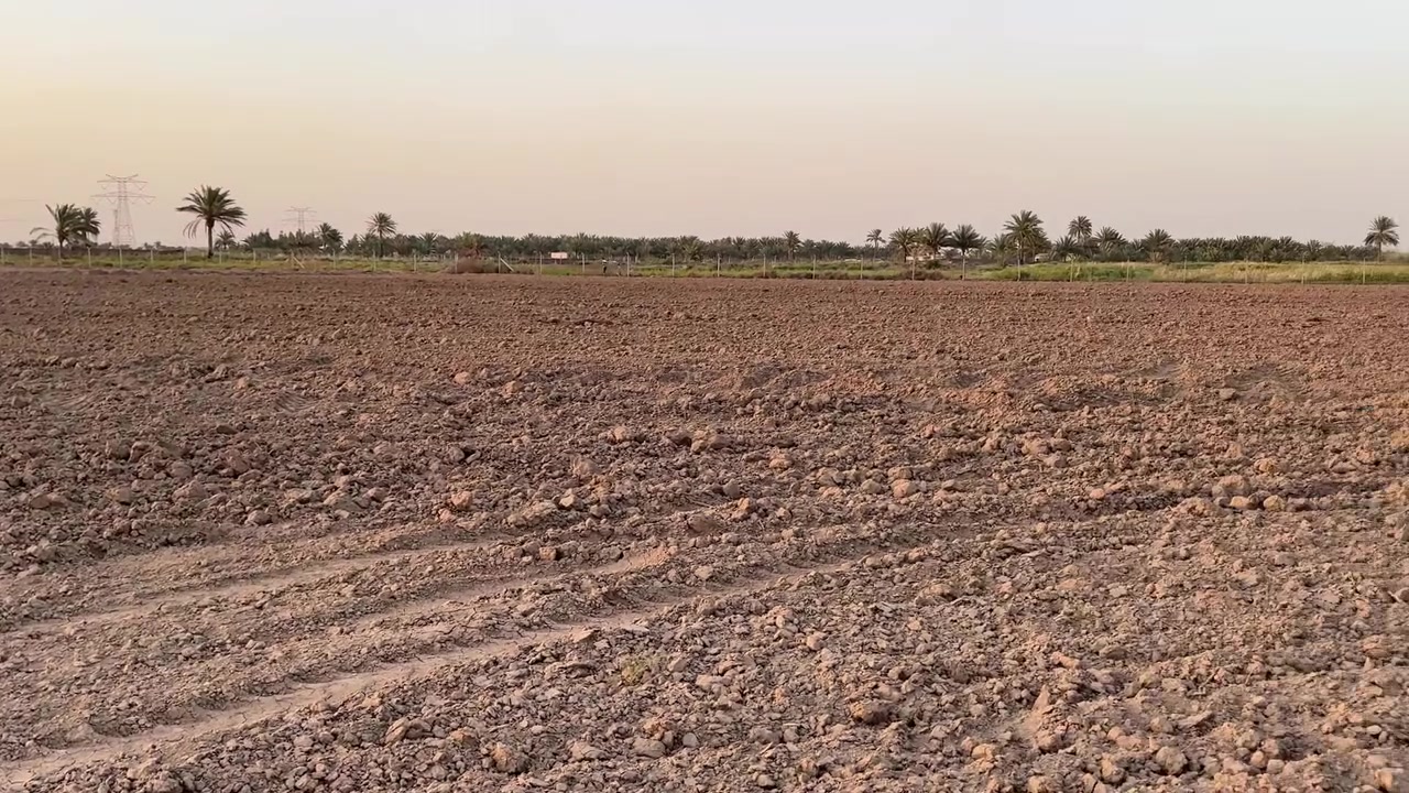 عشره دونم للبيع خلف جامعة بابل  طابو زراعي سند 25 باسمي احولك مباشر
تبعد الارض عن طريق حله نجف 3 كيلو او اقل  

تصلح سكن او مزرعه او استثمار 

موقعها بداية منطقة ابراهيم الخليل

للاستفسار اكثر اتصل ***********
