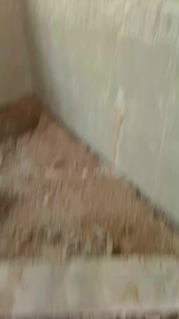 سلام عليكم لط جص  و بورك ٧المتر رقم الموبايل العنوان كربلاء ***********
