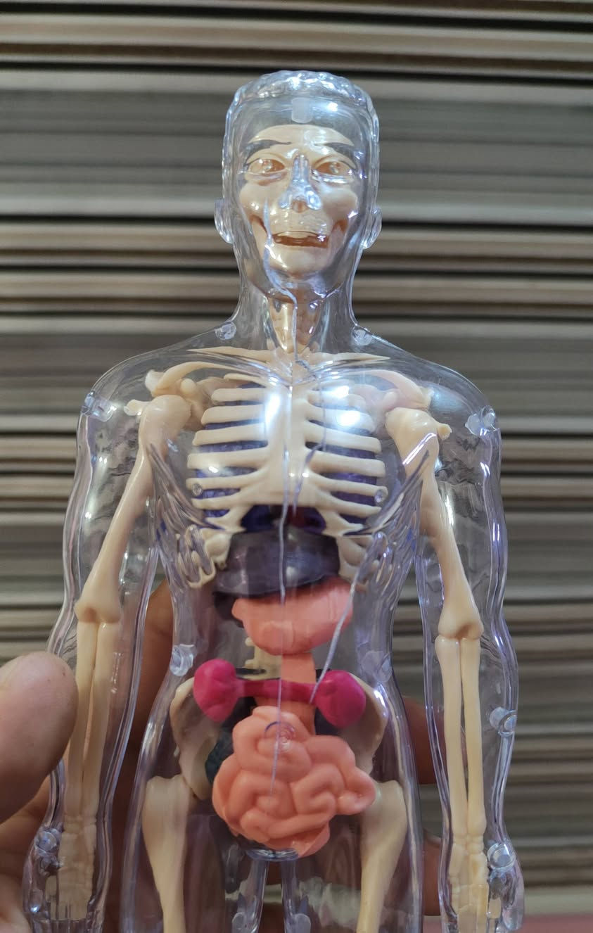 للبيع سعر ١٥ العنوان ناصريه مركز


**إذا كنت صاحب هذا الإعلان وتريد حذفه لأي سبب، رجاءا أرسل رسالة إلى الدعم الفني**