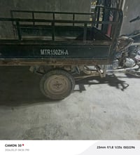 ستوته • موديل ١٩ • تعهد سرقة