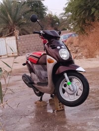 دراجة فلة • واردة حاوية • مسيب