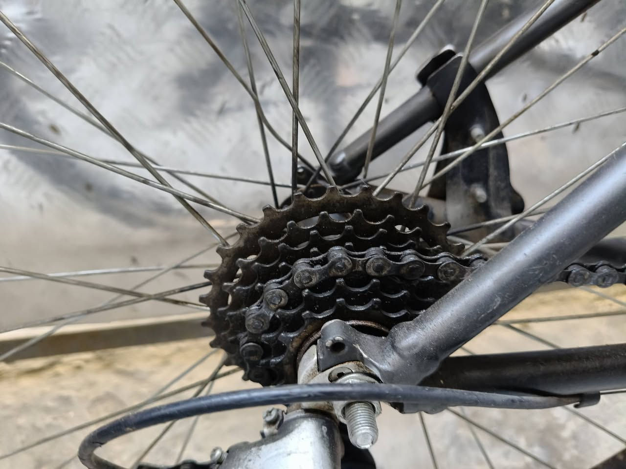 للبيع دراجة هوائية جاينت 🚴‍♀️ بحالة ممتازة ونظافة 98%! حجمها 26 ومزودة بإطارات يابانية أصلية ومكينة 3+8. الدراجة جاهزة للاستخدام في مدينة الصدر. لا تفوتوا الفرصة! 🤩✨ #للبيع #دراجة #جاينت
مراوس او لبيع


**إذا كنت صاحب هذا الإعلان وتريد حذفه لأي سبب، رجاءا أرسل رسالة إلى الدعم الفني**