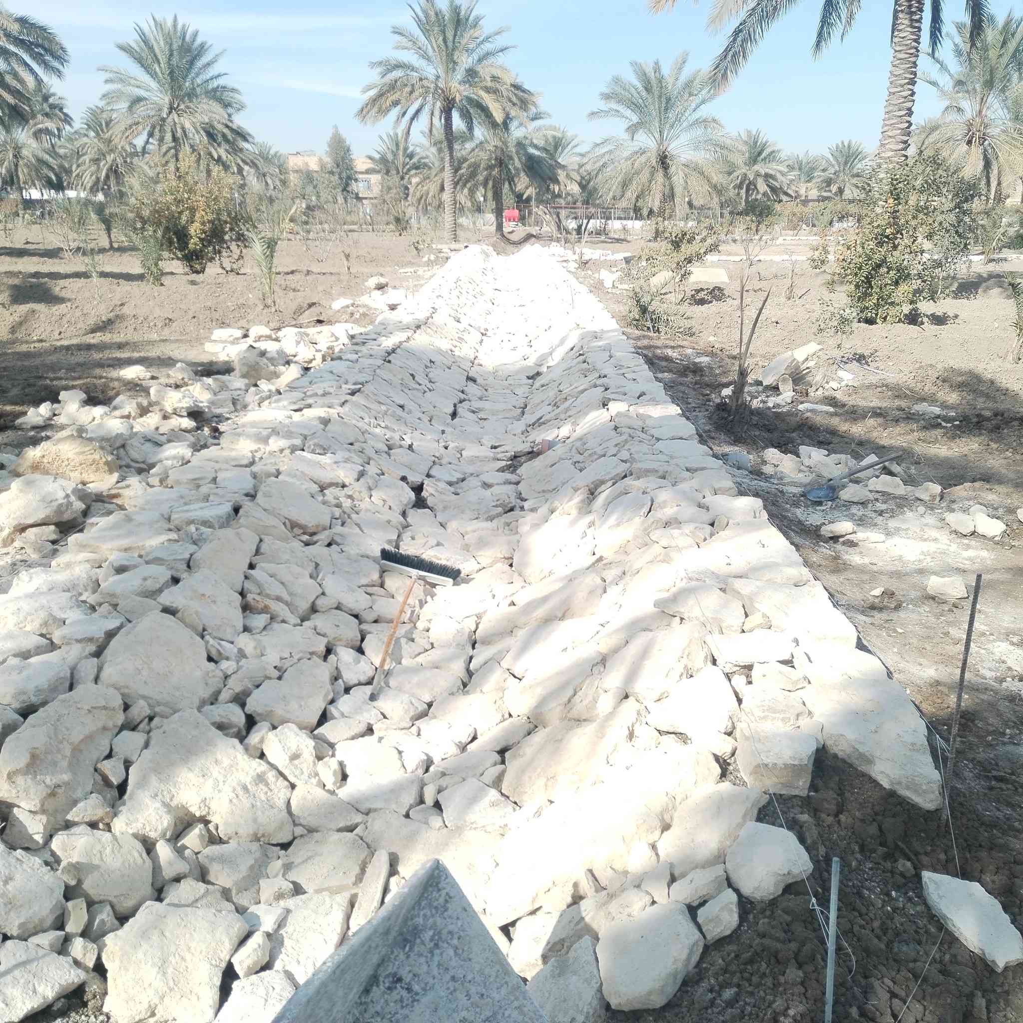 ***********+++***********
