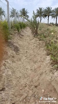 تنظيف حدائق • كد سواجي • تقليم اشجار • حصاد شعير • حصاد جت • خدمات حدا...