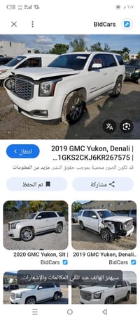 دينالي • ٢٠١٩ • حادث