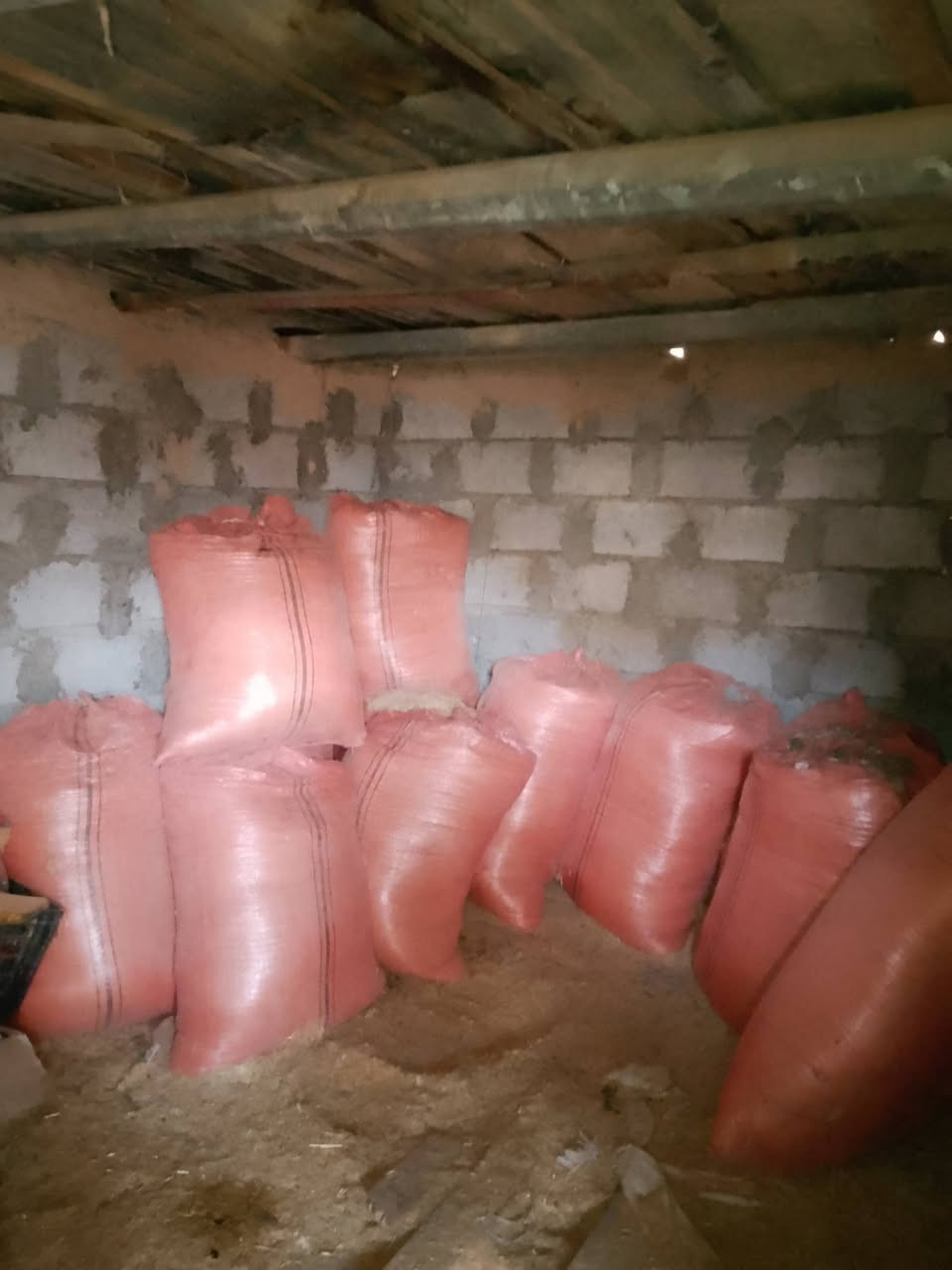 السلام عليكم يوجد تبن العدد 13 شليف الشليف ب5 ألف
*********** الهاتف
