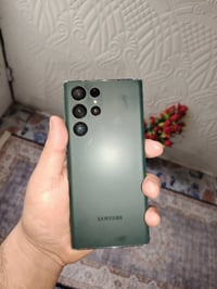 ٢٥٦ • زيتوني • باب معضم