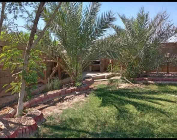 السلام عليكم بيت للبيع المساحه 1000 متر+ 3 غرف +ربعه+مطبخ+صحيات خارجيه+صاله+سيراميك+سقوف +بير بيت جاهز سعر 68 وبي مجال مليون المكان العلم حسين الجريش الاستفسار ***********//***********
