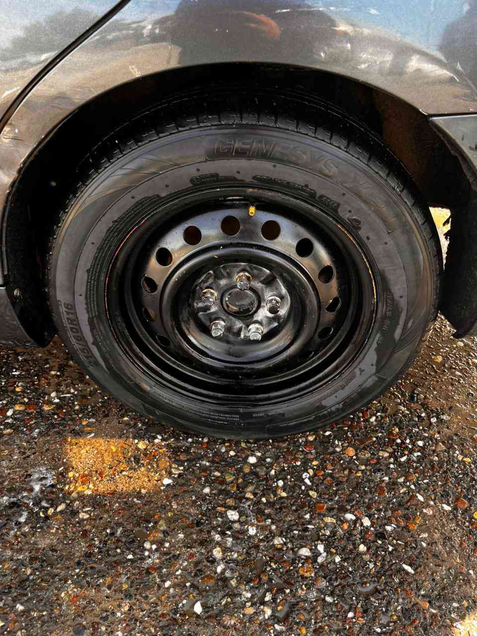 اسلام عليكم  مراوس ويلات  كوري العدد 4 تخم كامل مراوس بويلات ياباني كامري حجم 16  ***********
