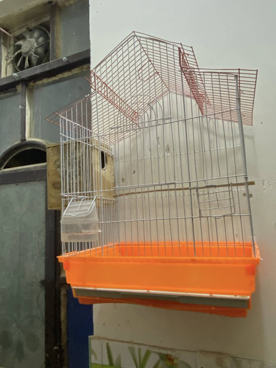 متاح


**إذا كنت صاحب هذا الإعلان وتريد حذفه لأي سبب، رجاءا أرسل رسالة إلى الدعم الفني**