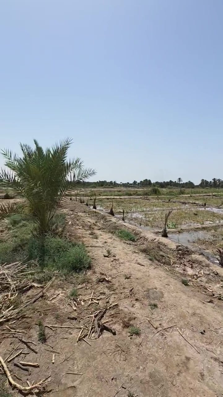دونم للبيع الموقع ازديناويه قرية المعيدية متوفر ماء  حلو وكهرباء  وكرمه مسافه 30 متر عن الدونم وشارع 10 متر يطلع على الحلو وشارع تبليط يبعد 200متر 
الارض سند 117 والسند موجود 
رقم الهاتف 
***********
