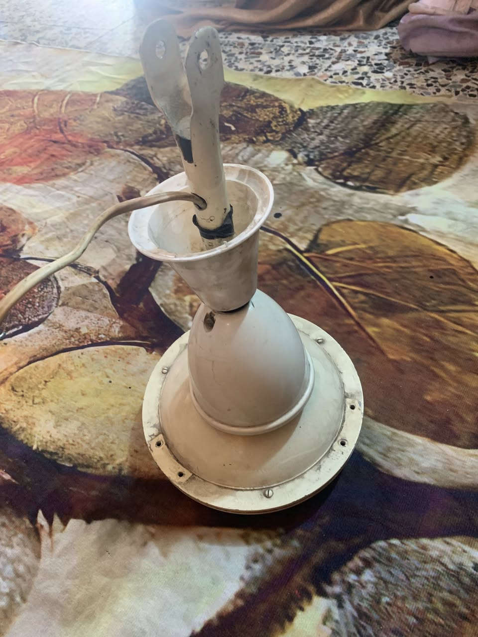 استيراد الثمانينات أخت الجديدة مكاني شعب


**إذا كنت صاحب هذا الإعلان وتريد حذفه لأي سبب، رجاءا أرسل رسالة إلى الدعم الفني**