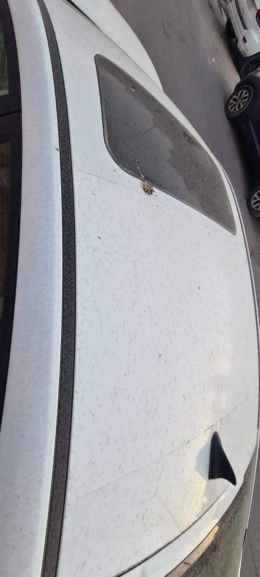 سياره جاك j7
موديل 2024
بانزين
ماشيه 3000 زيرو
ضمان الشركه لمده سنتين لتبديل الدهن و فلاتر وضمان المحرك والكير والكهربائيات 6 سنوات علمآ النه الشركه تبديل الدهن مجانآ على الشركه بالنهضه بشارع المعارض مقابل ليث العبيدي لتجاره السيارات 
السعر على الخاص واتساب 
السياره جديده و نضيفه كلش كلش 100% 
العنوان . بغداد الجديده مقابل الدرويش 
الاستفسار اكثر على الرقم
*********** الحاج ابو ابراهيم العبيدي
