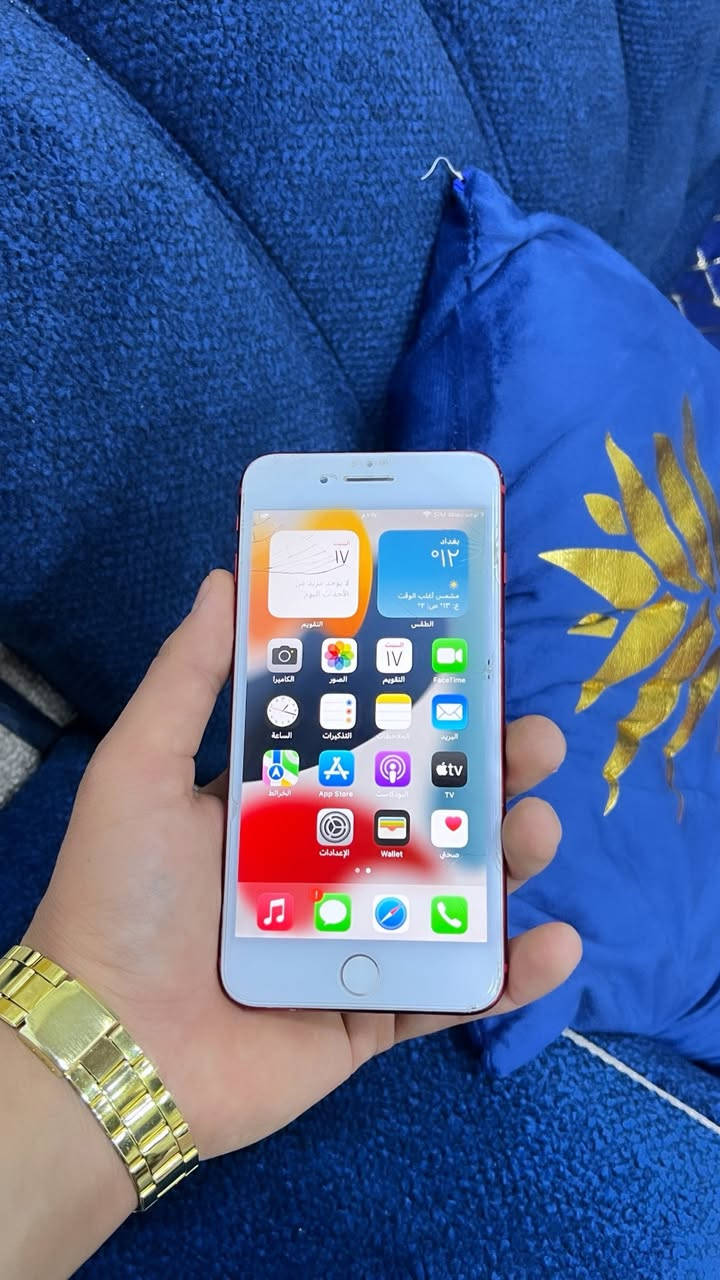 للبيع ايفون 7 بلاص ❤️،
مبدل بطاريه اصليه فول 

ذاكره 128 

نموذج m

بي ضرر خفيف بل شاشه   🖤،

سعر خاص او مرواس حسب القناعه

عنوان / تكريت التوحيد ***********
