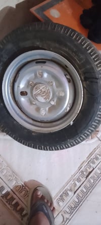 بوقيه هنديه • نضيف • كرمت بني سعيد