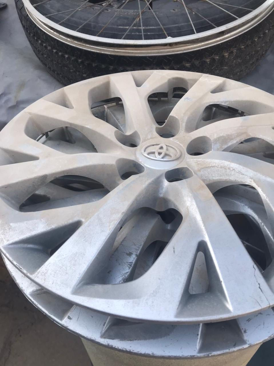 السلام عليكم تخم كبات كورله أصليات مكاني بغداد الغزاليه للستفسار ***********
