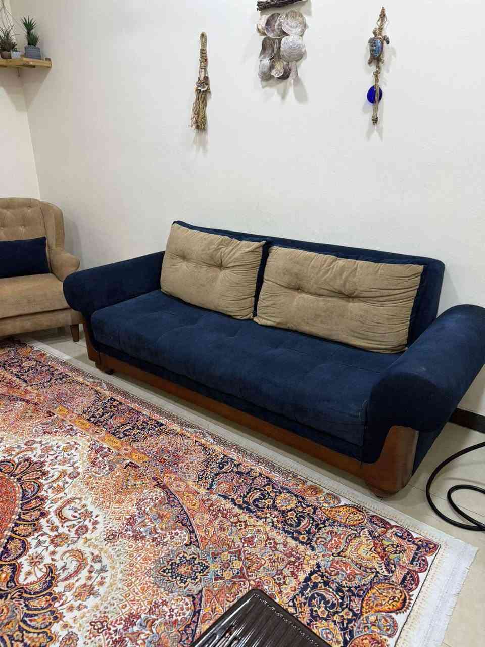 تخم تركي تكمه مو سوكي بسعر مناسب  10 مقاعد 
بغداد الحريه  اي ستفسار سكرين ع واتساب  ***********
