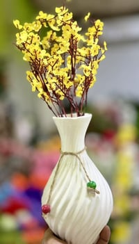 مجمع إسطنبول • خانقين • بدون توصيل