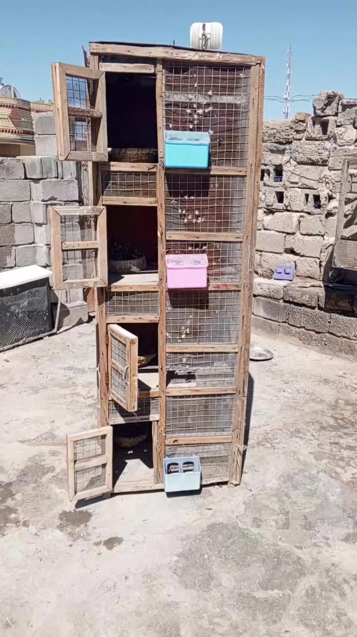 متاح خنات مهات 4نضاف شوف العين مكاني بلحيانيه على المستطيل بستين


**إذا كنت صاحب هذا الإعلان وتريد حذفه لأي سبب، رجاءا أرسل رسالة إلى الدعم الفني**