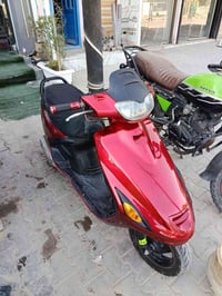 فراشه فحل • نجف