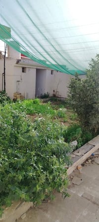 حي الحكيم • ٣٥٠م • كراج