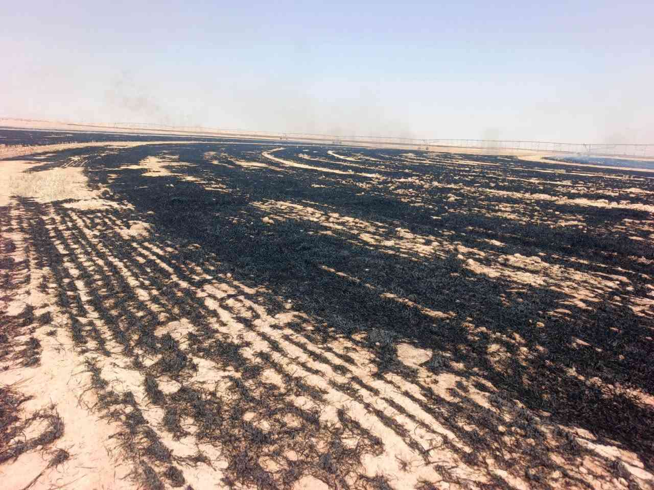 للبيع مكان رمادي 60 بيها بير 100 دونم تاخذ مرشه 4 أبراج ام 80 للبيع ***********
