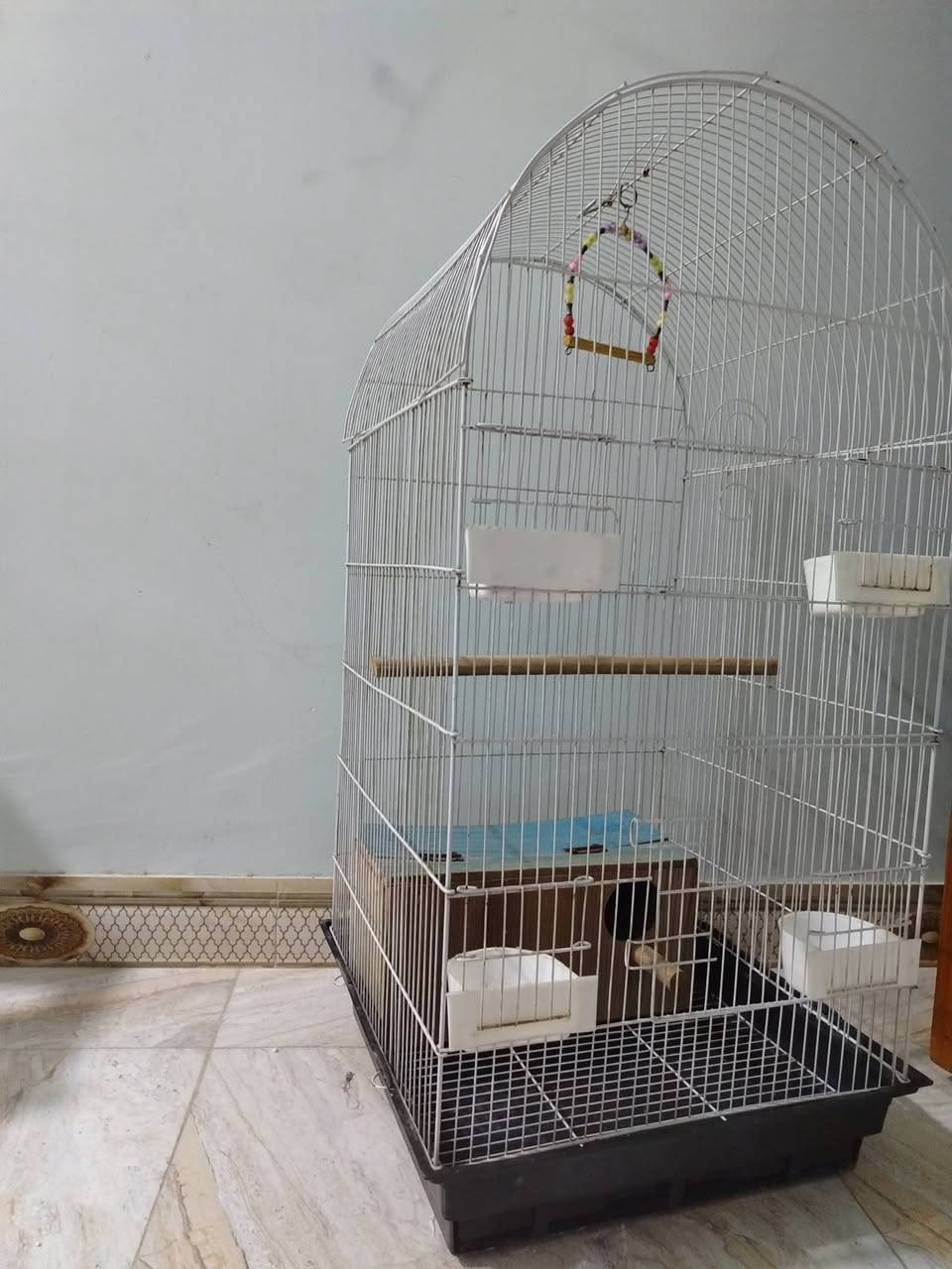 قفص للبيع يرهم غندور او كوكتيل كلش جديد كامل مع ملحقاته #لسعر30
***********.         ***********
