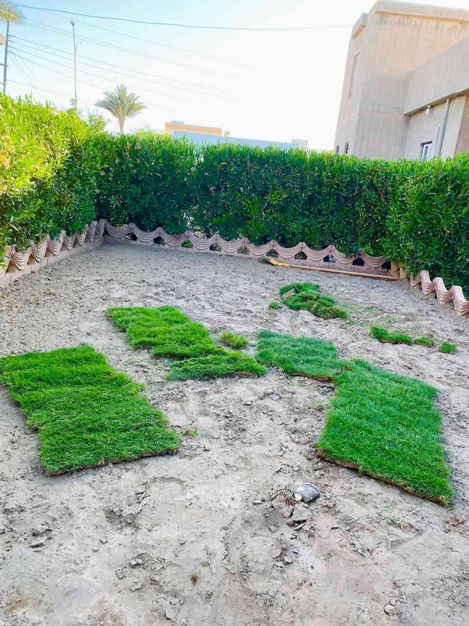 ⛔️يوجد كادر زراعه حدايق فرش زميج  ديكورات  اتصل وتبشر ***********
