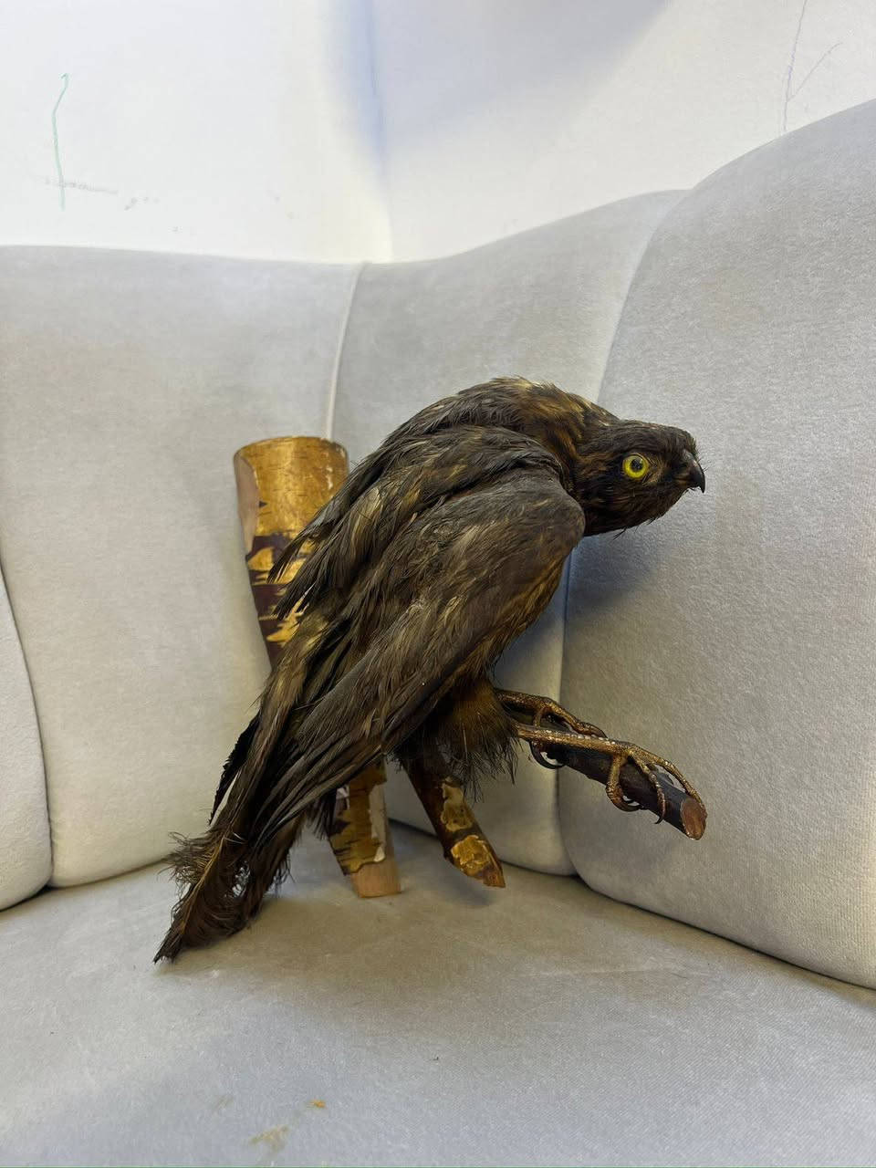 للبيع   50 ألف قفل 
توصيل موجود


**إذا كنت صاحب هذا الإعلان وتريد حذفه لأي سبب، رجاءا أرسل رسالة إلى الدعم الفني**