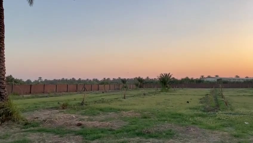 ￼ السلام عليكم  للبيع دونمين 🌴
الوجة 48 ـ النزال￼ 98 ـ أنبيع دونم أو دونمين ـ المكان بغداد الراشدية ـ  ￼ السعر 260
***********
