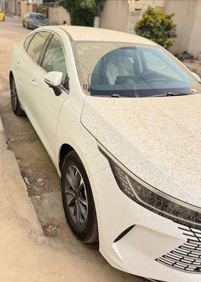 السلام عليكم 

 Byd ديستروير  موديل 2025
مرقمة ومثبت لوحات كامل بسمي تحويل ثاني يوم 
رقم بغداد ماشية 3000 محرك
2000 كهرباء 
المجموع 5 الاف الكلي 
 استخدام جدا نضيف
مكفولة كفاله عامه من اي ملاحظه وضع زيرو 
ارضيات حوضية 
مع كامل ملحقاتها 
مكان : كربلاء المقدسة
سعر19 مليون و700 الف 
للتواصل :::- 

***********
