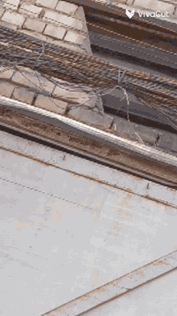 وترتيب الوايرات الشغالة حسب رغبات صاحب الموقع 

واي قطع نتحمل كافة المسولية وكال هاذة مجانن مقابل الوايرات المتروكة فقط كادر كامل ***********
