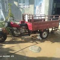 ستوته دايوان • 2014 • بدون اوراق