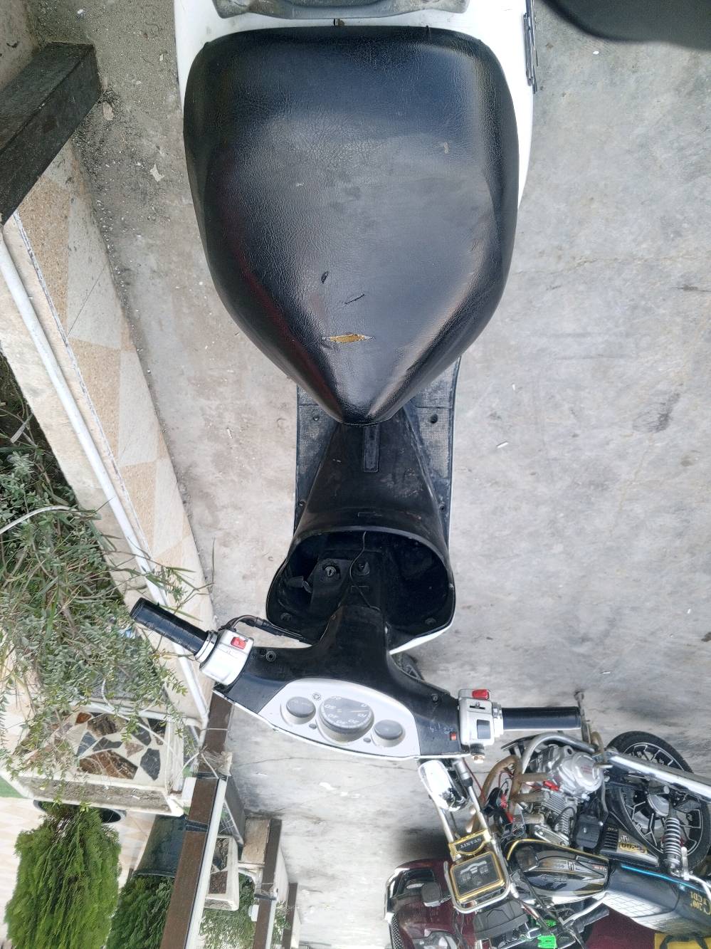 عنواني الغزالية واجوبك بسرعة وقت الي يريد يراوس اهلن