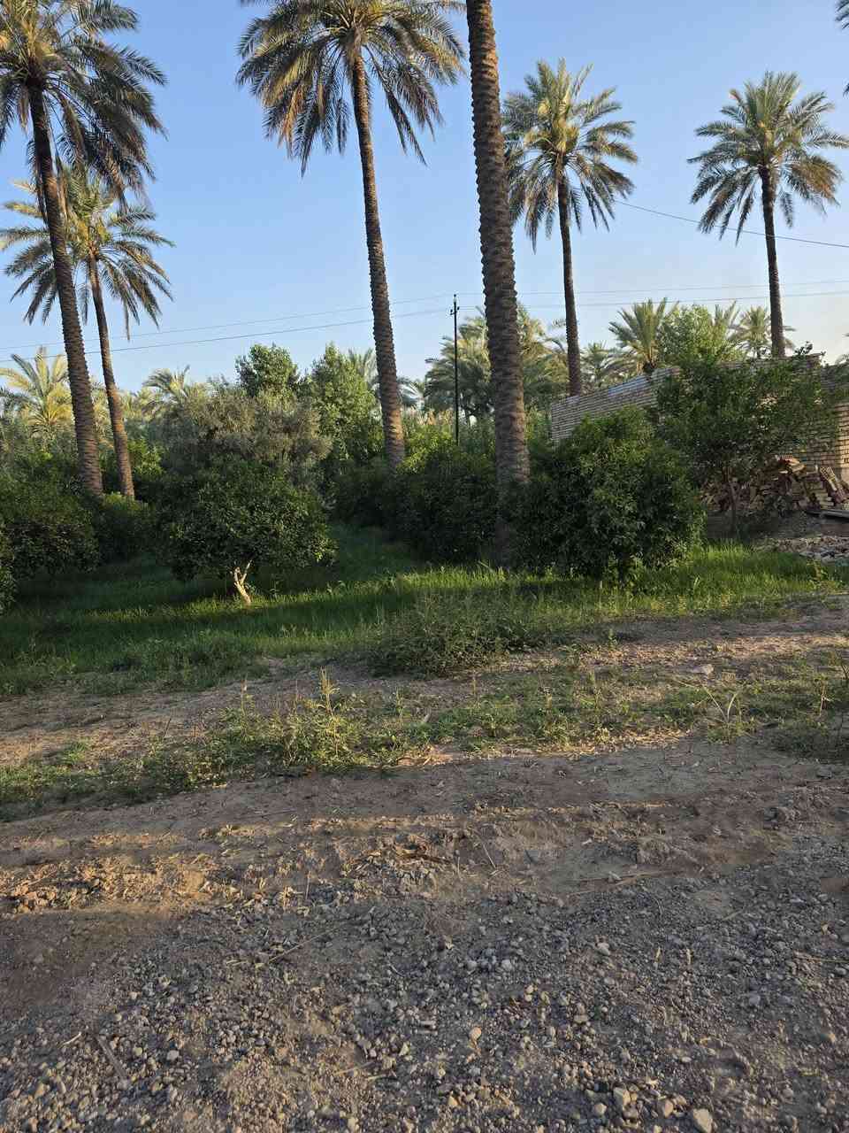 السلام عليكم ورحمة الله وبركاته🫱🏽‍🫲🏻قطعة أرض للبيع🏞
 المساحة 800متر الواجهة 20نزال 43يتوفر فيها ماء ⛲وكهرباء 💡وكافة الخدمات ‼️
موقع مميز جداً 🌷
العنوان: بغداد/التاجي/شيخ حمد/قرب مزرعه العصفور 🏝
للاستفسار الاتصال على الارقام الاتيه 
كورك: ***********📞
اسيا: ***********📞
#مَكتب_ديرتنا_للعقار🏢
#بإدارة_أحمد_أبومصطفى 🌷
