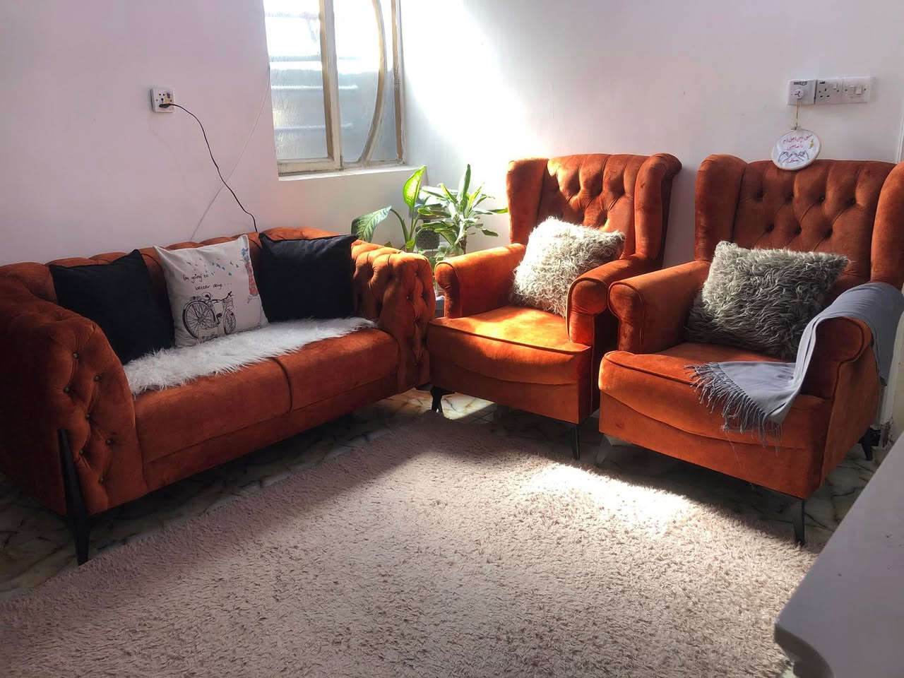 نص تخم للبيع عراقي موديل تركي
سعر الاصلي ٤٠٠سعر البيع ٢٥٠
العنوان الدوره


**إذا كنت صاحب هذا الإعلان وتريد حذفه لأي سبب، رجاءا أرسل رسالة إلى الدعم الفني**