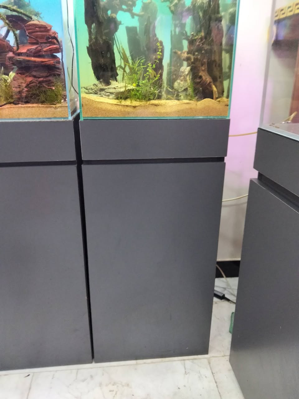 حوضين قياس 40*40*40 مع كابينات قياس 80*40 كامل مع ديكور اشجار بونساي ودراكون وود ديكور كامل مع اختاره عدد2 فلتر هانك وفلتر اسفنجي مع الماطور رمل ذهبي مجموعة نباتات مختلفه مع هيتر عدد اثنين
سعر الواحد كامل 175الف مع الكابينه والتفاصيل مكاني بغداد الجديدة***********
