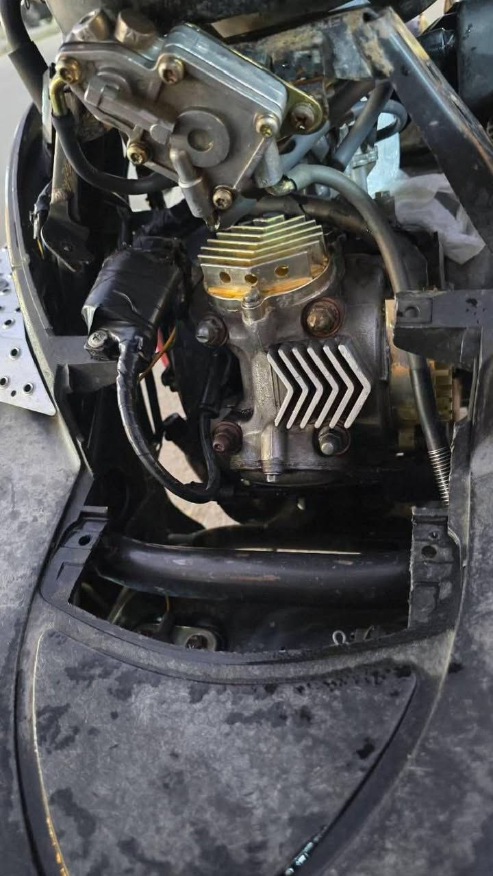 ألسلام عليكم سكنس فحل مزوعه تزويد بوشتهه59 بيهه كور ابو الأسهم وصالنصه أم الاخطبوط كلجات WF 2016وهواي غراض بعد الدراجه هاون متنلزم ربع نكره بكل وقت السعر 850وبيهه مجال قليل مكاني بغداد الامين الثانيه ***********
