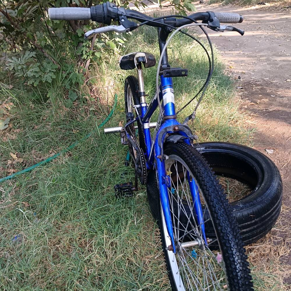 الكوفه ناحيه العباسيه طبر سيد جواد 