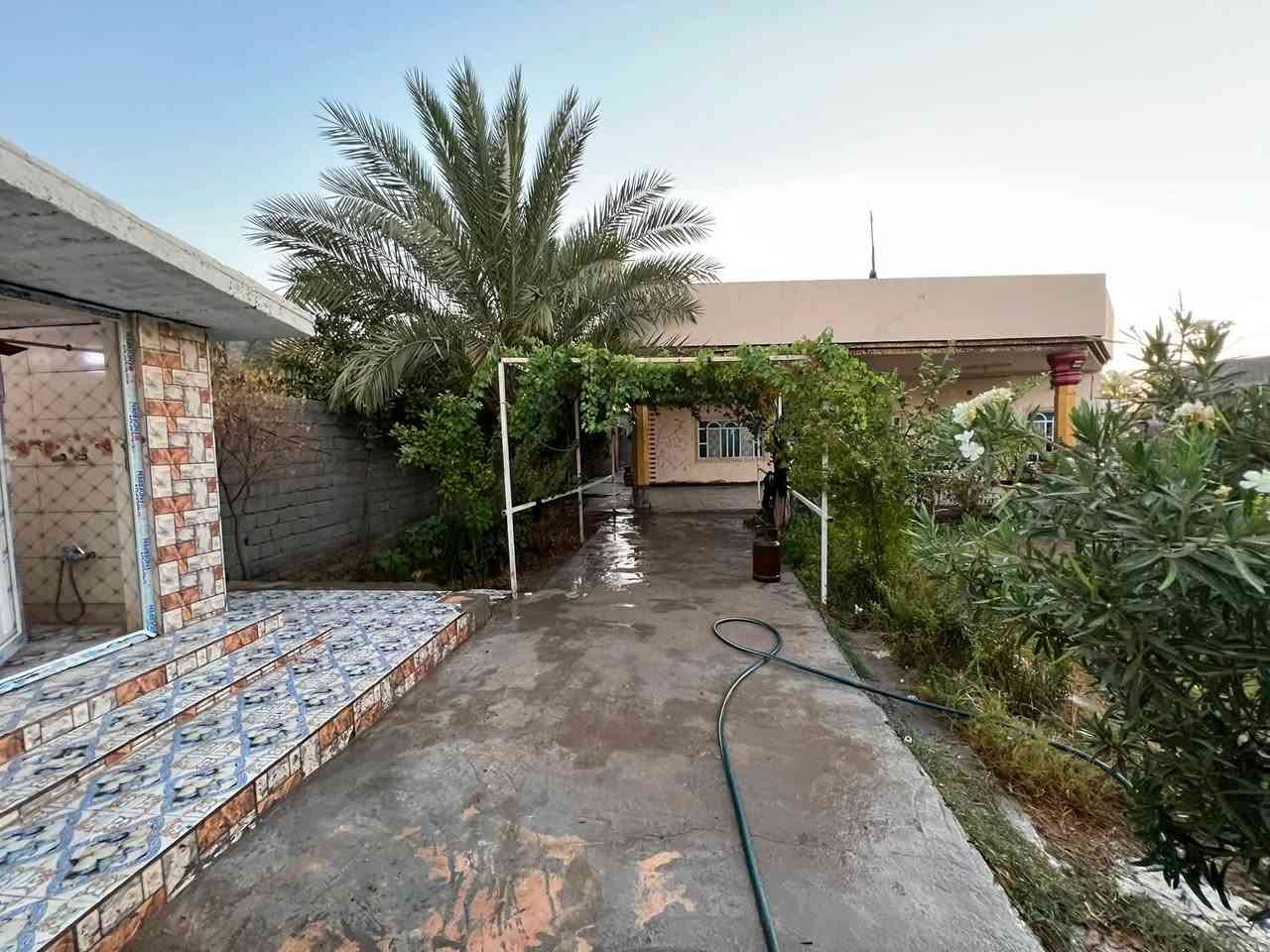 السلام عليكم 
بيت للبيع مساحته ٩٥٠ م سند ٢٥ تحويل مباشر   شارع حله بغداد قرية الفنديه اقرب نقطه داله البوابه  او معمل طابوق الجمهوري يتكون من غرفتين نوم+ حمام داخلي +هول +مطبخ+ استقبال+ امام المنزل حديقه كبيره + حديقه صغيره للزع على يمين  الحديقه الكبيره + مجمعات صحيه +خلف المنزل مشتمل يتكون من غرفه + مطبخ+ مجمعات صحيه + قطعة ارض امام المشتمل ١٧٠ م تقريبا للاستفسار *********** للبيع او مراوس

