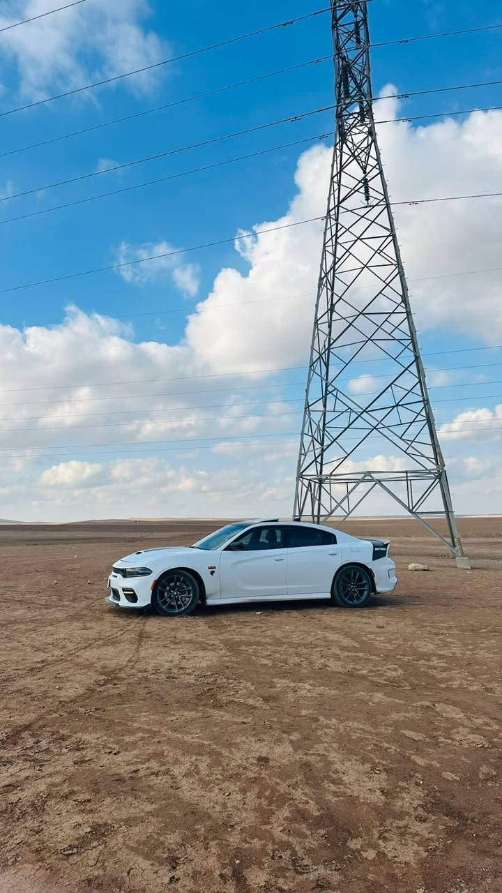 دودج جارجر دايتونا لكطه قطعه كلش حلوه ماشيه 9 الف بيه ضرر صندوق مبدل وجاملغ سايق وبونيد كله بلادي مبدل شركة هارلم GM سعره 260 ورقة مكان سياره كركوك


**إذا كنت صاحب هذا الإعلان وتريد حذفه لأي سبب، رجاءا أرسل رسالة إلى الدعم الفني**