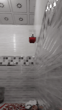 لبيع بلبل فحل طير راكد فحل خشن طير حلو وجااهز لتغريد والله شرط دك تغريد
والسعر ٣٠ 

اله مسيقى بيه نغمات جميله متميزه عدت أصوات طلعت عندي بالامزون  سعره معروف ع التيك توك ١٨٠ الف حجم كبير بس اني ما استغل الواحد بيش تفيدك اكتب بالتعليق واكلك تستاهله
*********** نجف حي النداء
