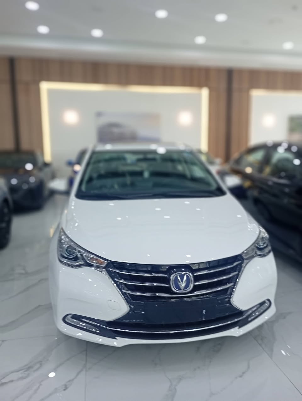 شانجان السفن 2026_2025
سيارة اقتصادية وعملية 
مواصفات 
شاشه _فتحة سقف - مقاعد جلد _ كامرة خلفية _ حساسات خلفية 
محرك 1500 
كير 5 نمر 
ضمان وخدمات ما بعد البيع 
ضمان محرك وكير 5 سنوات ،😍💥 
وكهربائيات وعقول 
للاستفسار اتصال ع رقم مستشارة المبيعات 
*********** 
او زورونا لاحد مواقع شانجان الفرع الرئيسي سريع الدورة مجاور محطئة وقود شواطئ دجلة
