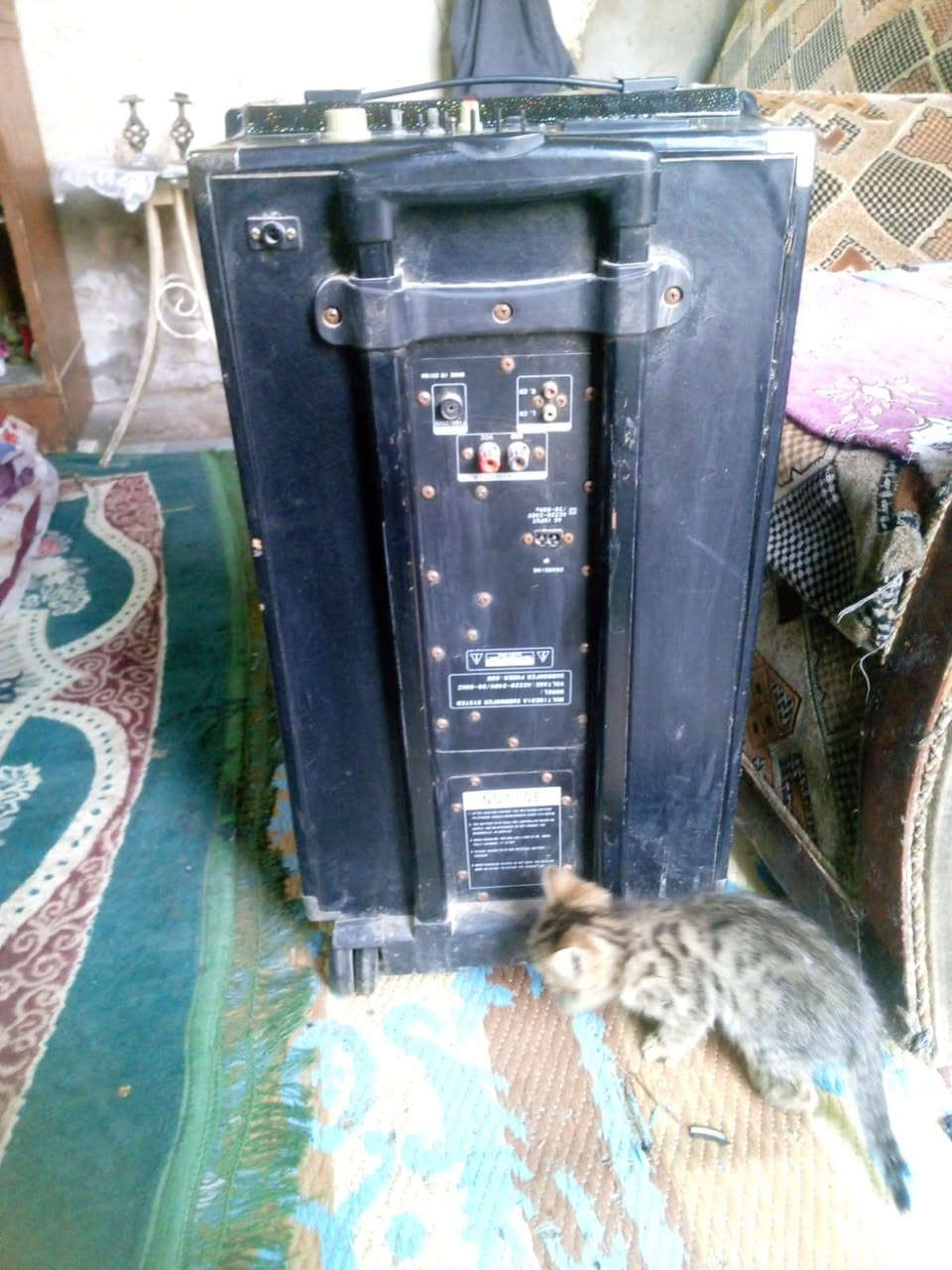 سماعه شغاله بس تحتاج تنضيف مكاني حي الرئاسه مال عبيدي لا يوجد توصيل


**إذا كنت صاحب هذا الإعلان وتريد حذفه لأي سبب، رجاءا أرسل رسالة إلى الدعم الفني**