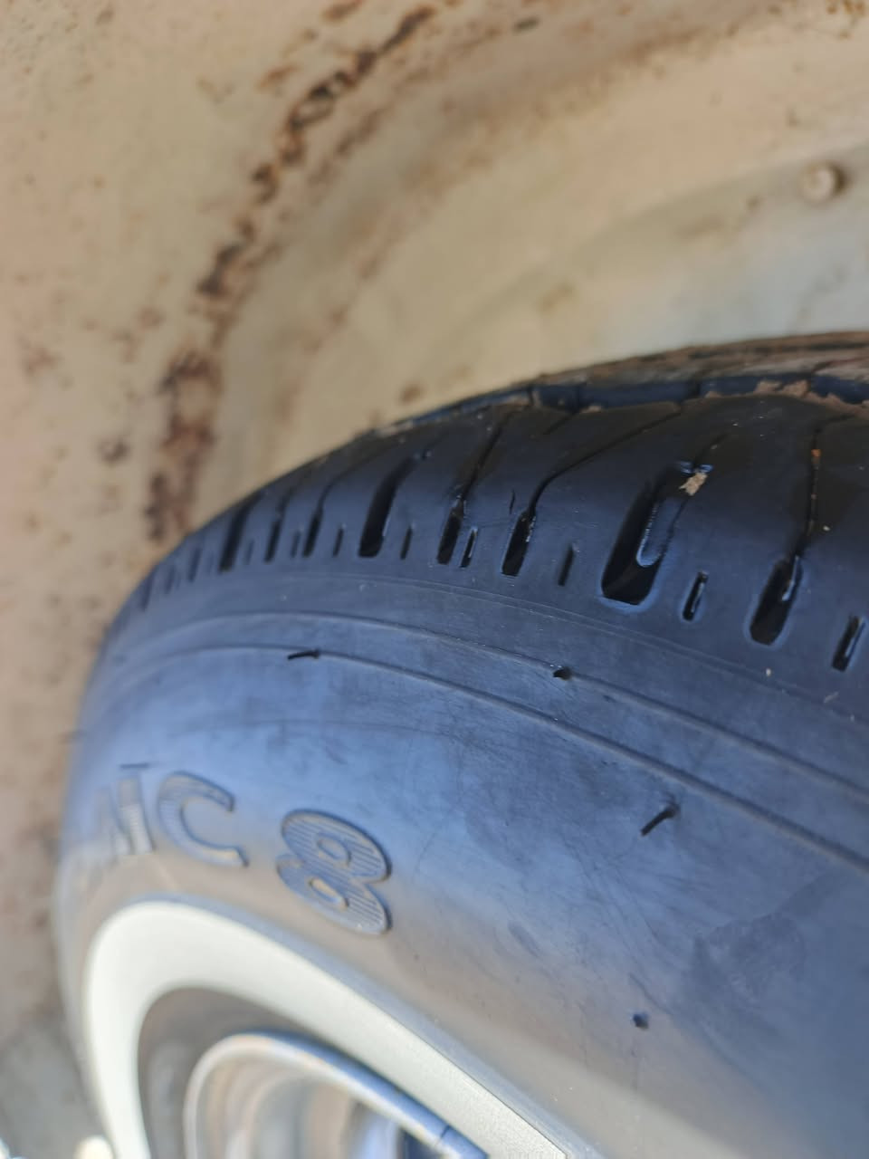 سلام عليكم كيه مازدا البيع موديل 92☝ مصفر هيئة و غرامات وكاله فوكاه مكينه و كير و اكسن 100 👁على 100 👁تخم تاير و تخم وياله قطره خياس ما بيه كهربائية فول خاص ما موجود الشراي بي خير و يدلل سعر🦅 40 
***********👋🌹🦅
