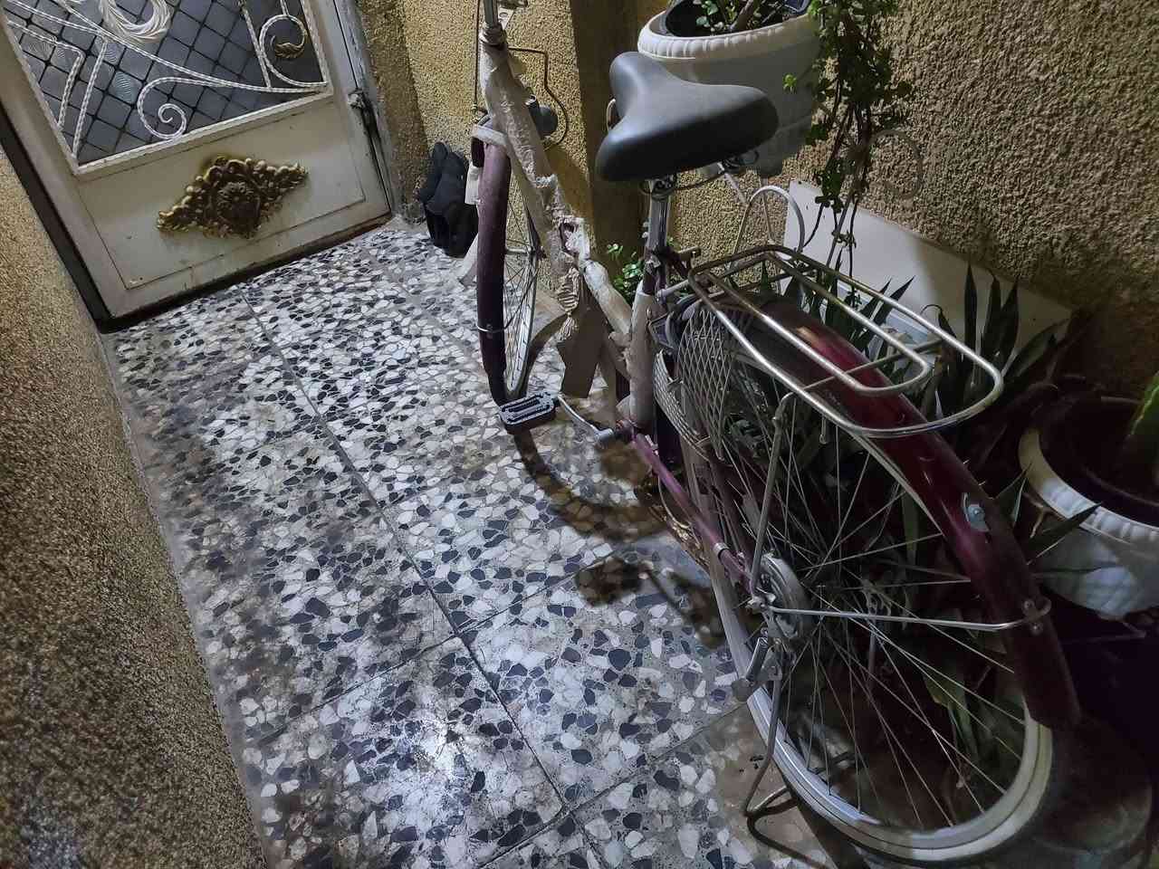 قيم واخذ بايسكل جديد ما مركوب بس مره او اثنين  ويل خلفي اعوج من جبته رجعت بل سياره واني ما ادري وعوجت الويل مكاني بغداد رقمي ***********
